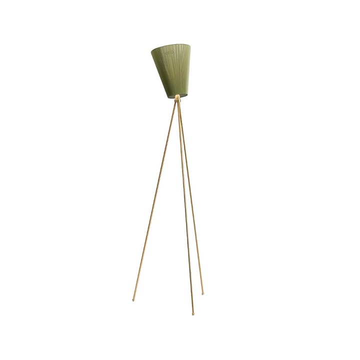 Oslo Wood Golvlampa - olive green, guldigt stativ - Northern