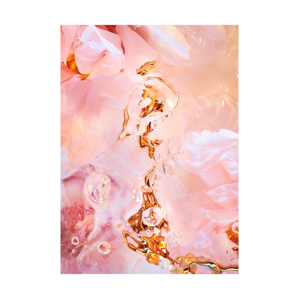 Paper Collective Flora Aquatica 02 poster 30x40 cm | Skandinavisk Design | Posters | Rosa