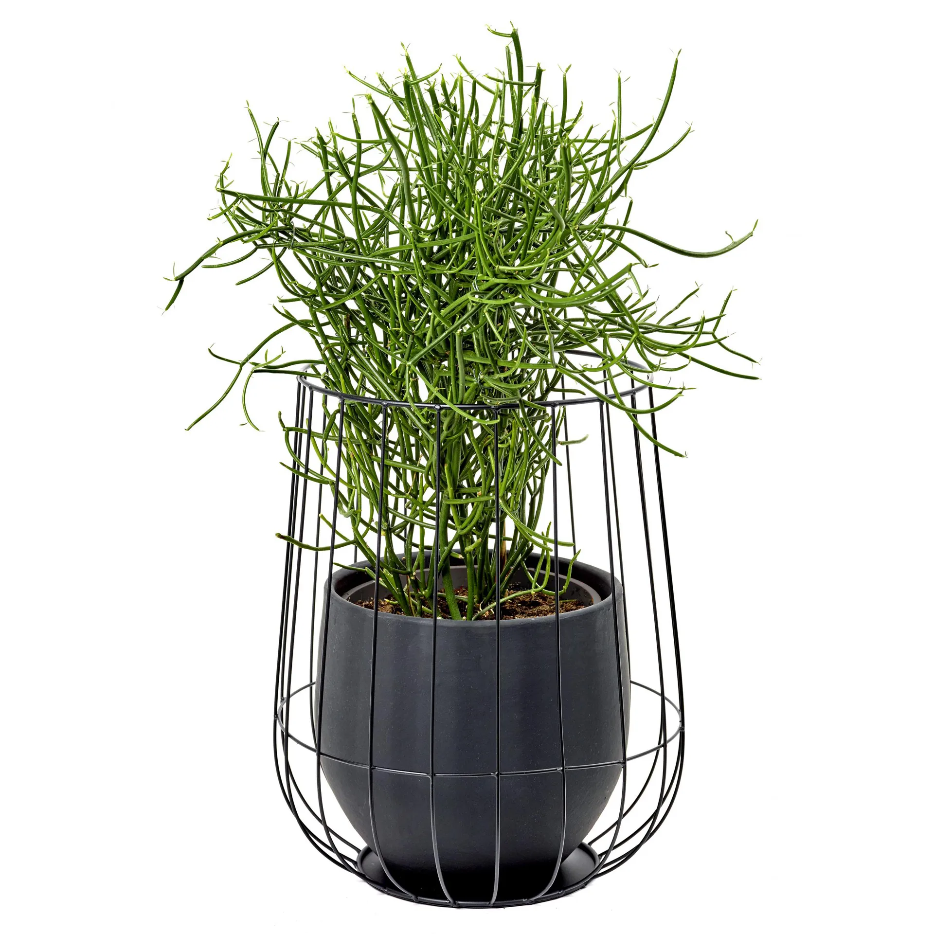 Serax blomkruka i korg Ø37 cm h46 cm, Black Serax