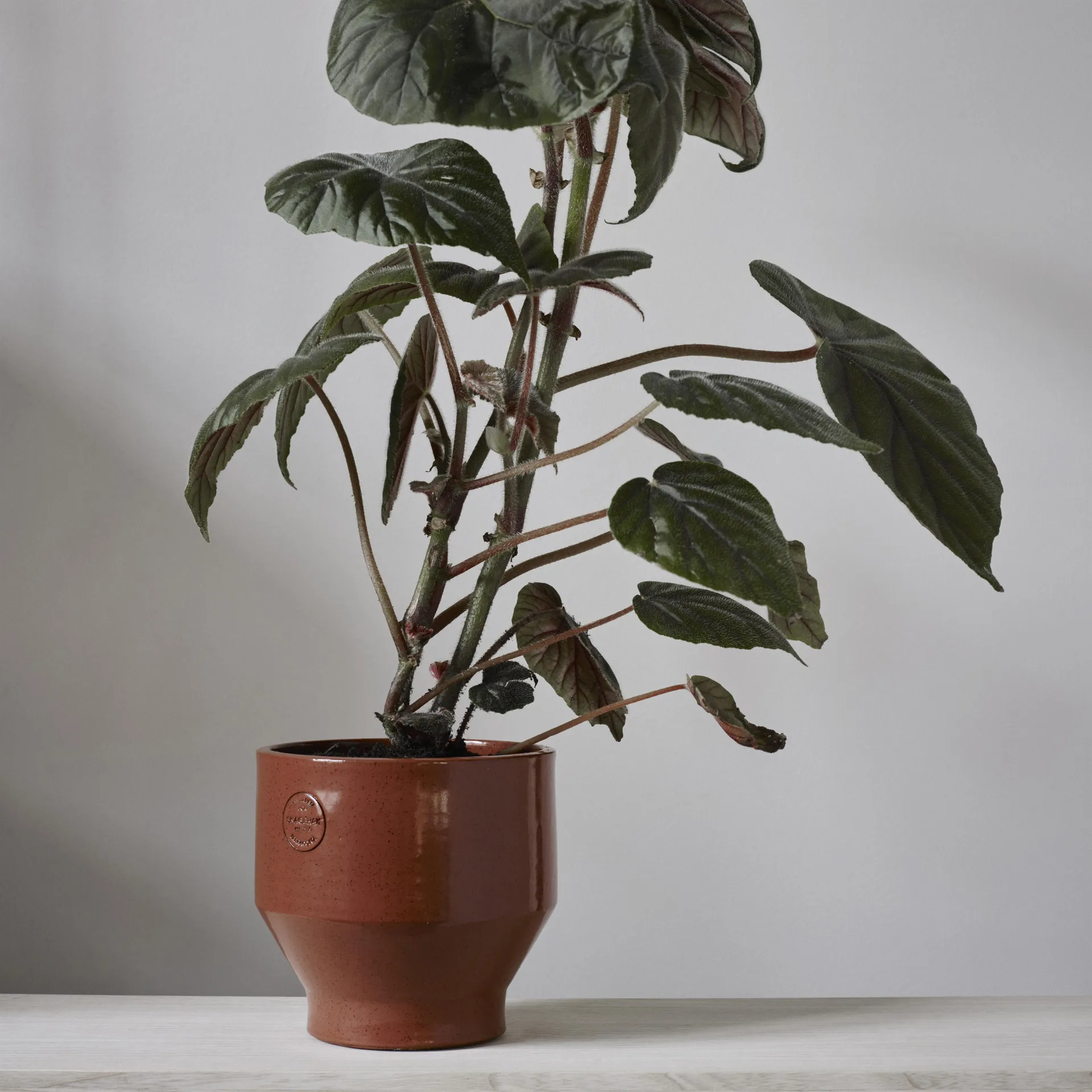 Edge kruka (inomhus) Ø15 cm, burned red Skagerak