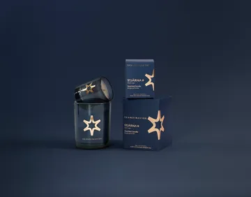Stjärna Gold Symbol doftljus - 65 g - Skandinavisk