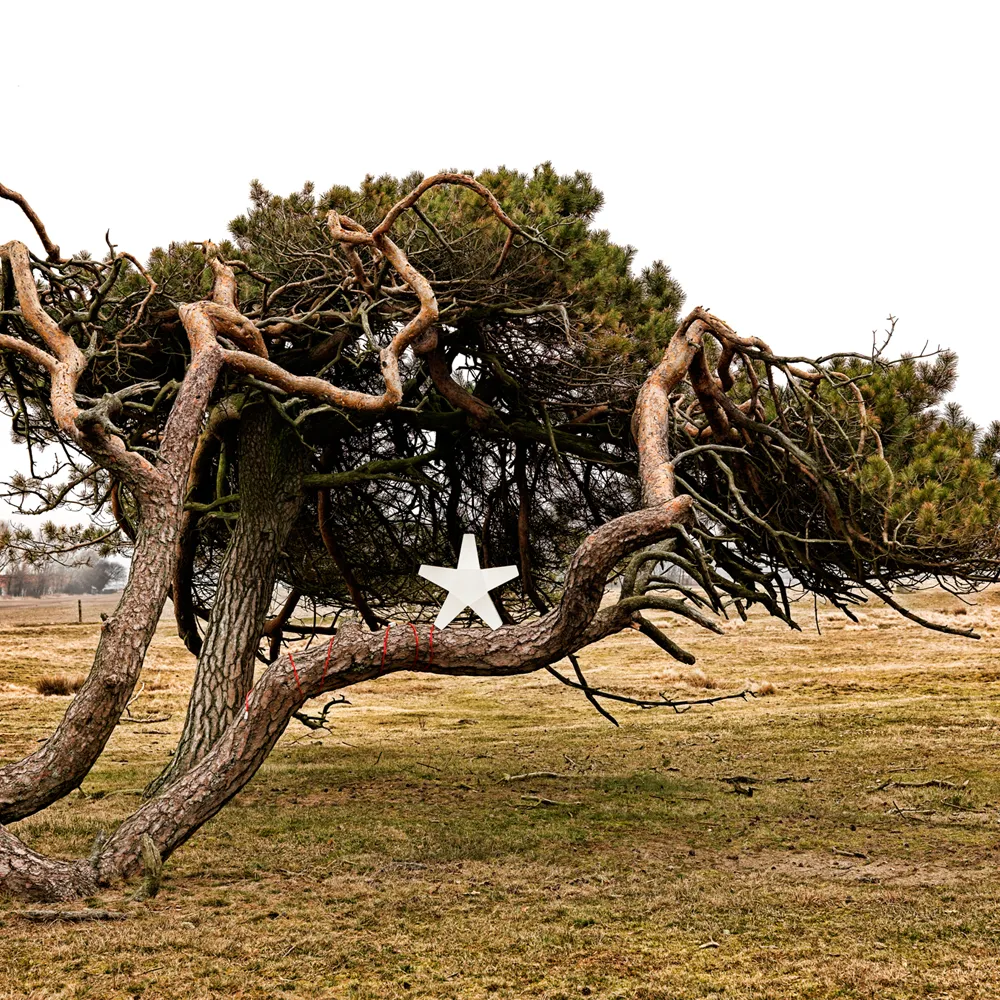 Advent Stjärna Adventsstjärna, röd, 40 cm, ljusgrå textilsladd SMD Design