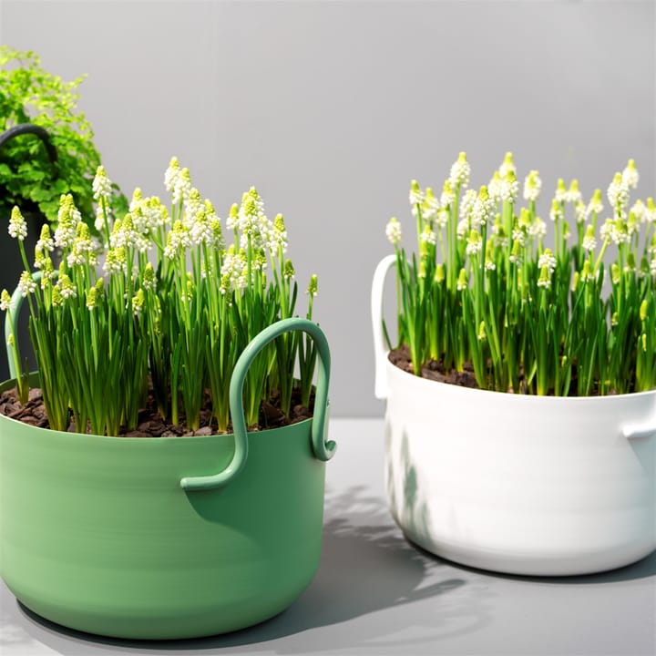 Tivoli kruka Ø30 cm låg, vit SMD Design