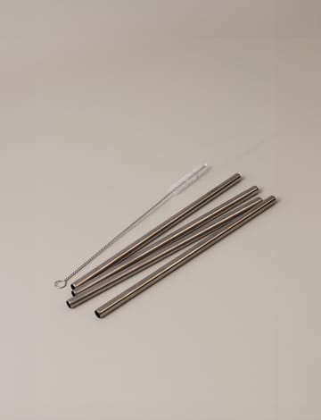 Stelton återanvändbara sugrör 4-pack - Steel - Stelton