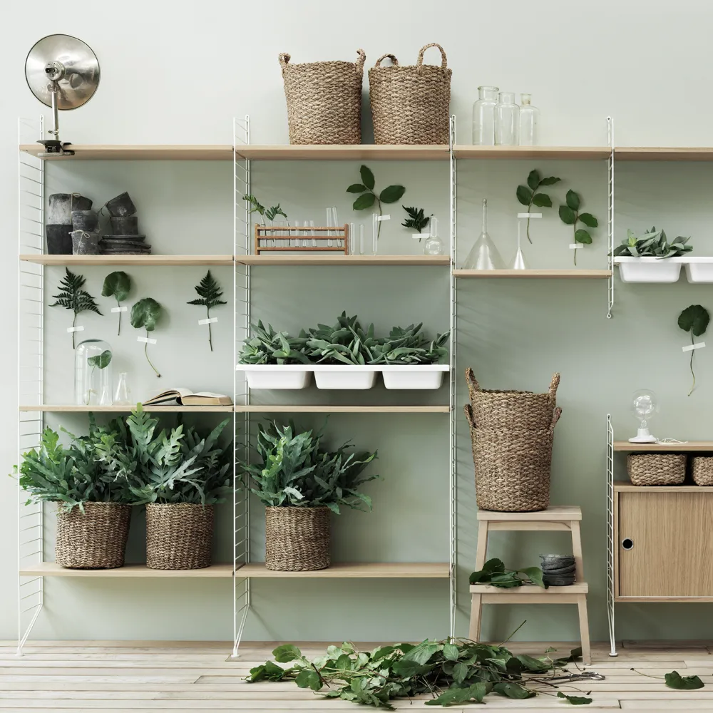 String hyllplan, ek, 58x30 cm, 3-pack String