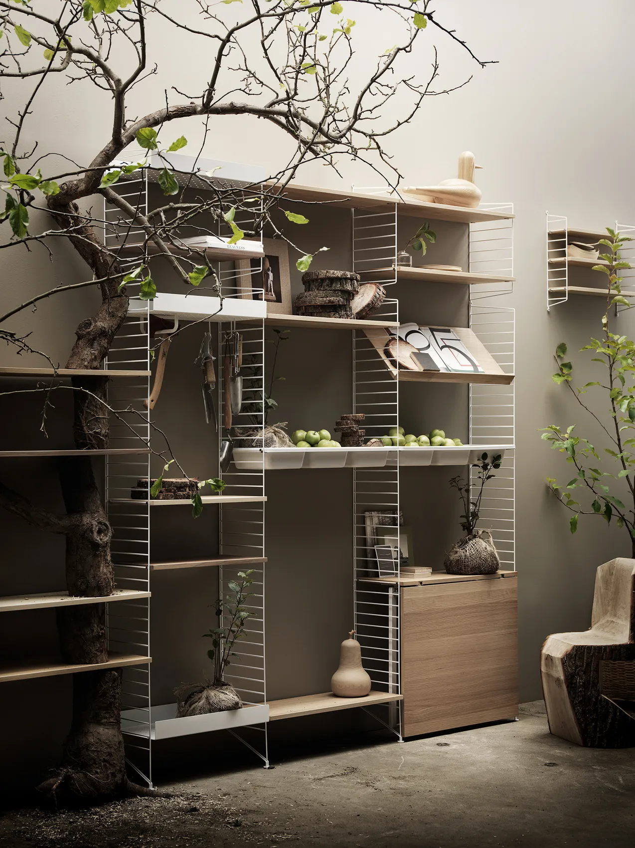 String hyllplan, ek, 58x30 cm, 3-pack String