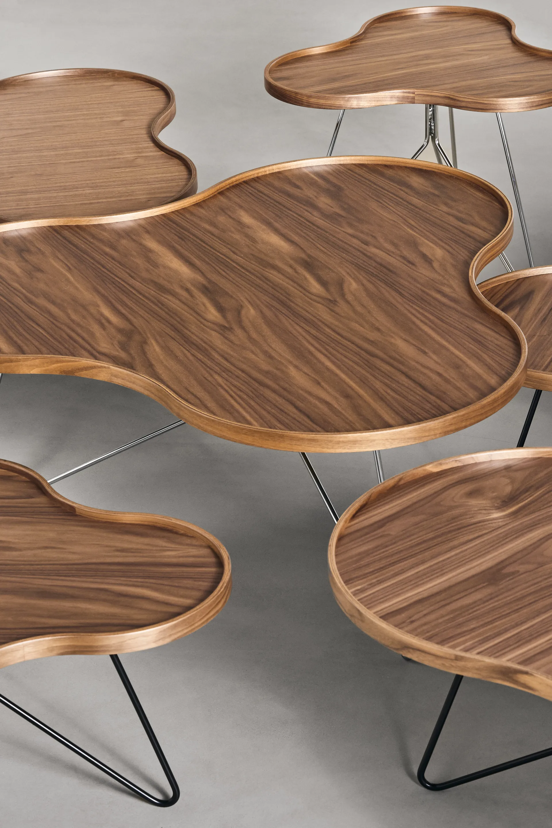 Flower mono bord Special Edition 62x66 cm, H45 cm-lackad valnöt-svartlackerat stål Swedese