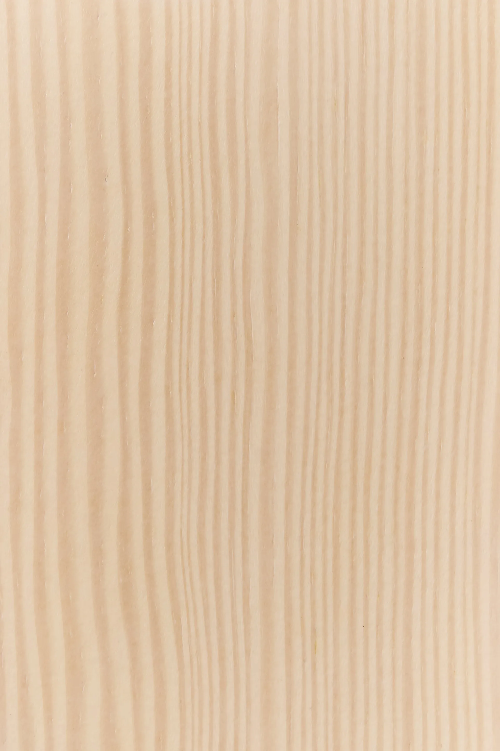 Tree wall rockhängare Special Edition 194 cm, Vitpigmenterad furu Swedese