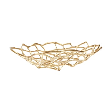 Bone skål - Mässing, L - Tom Dixon