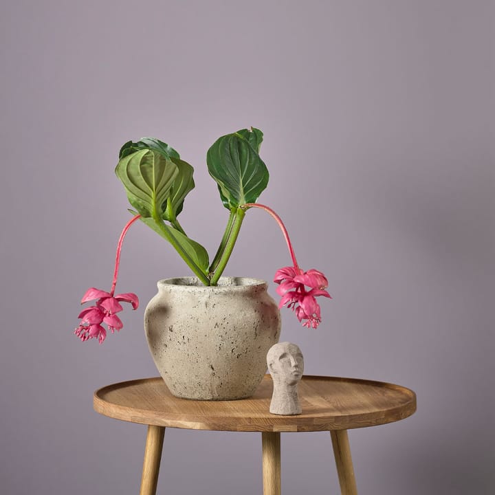 Loev kruka, Grå, medium Ø30.5 cm Villa Collection