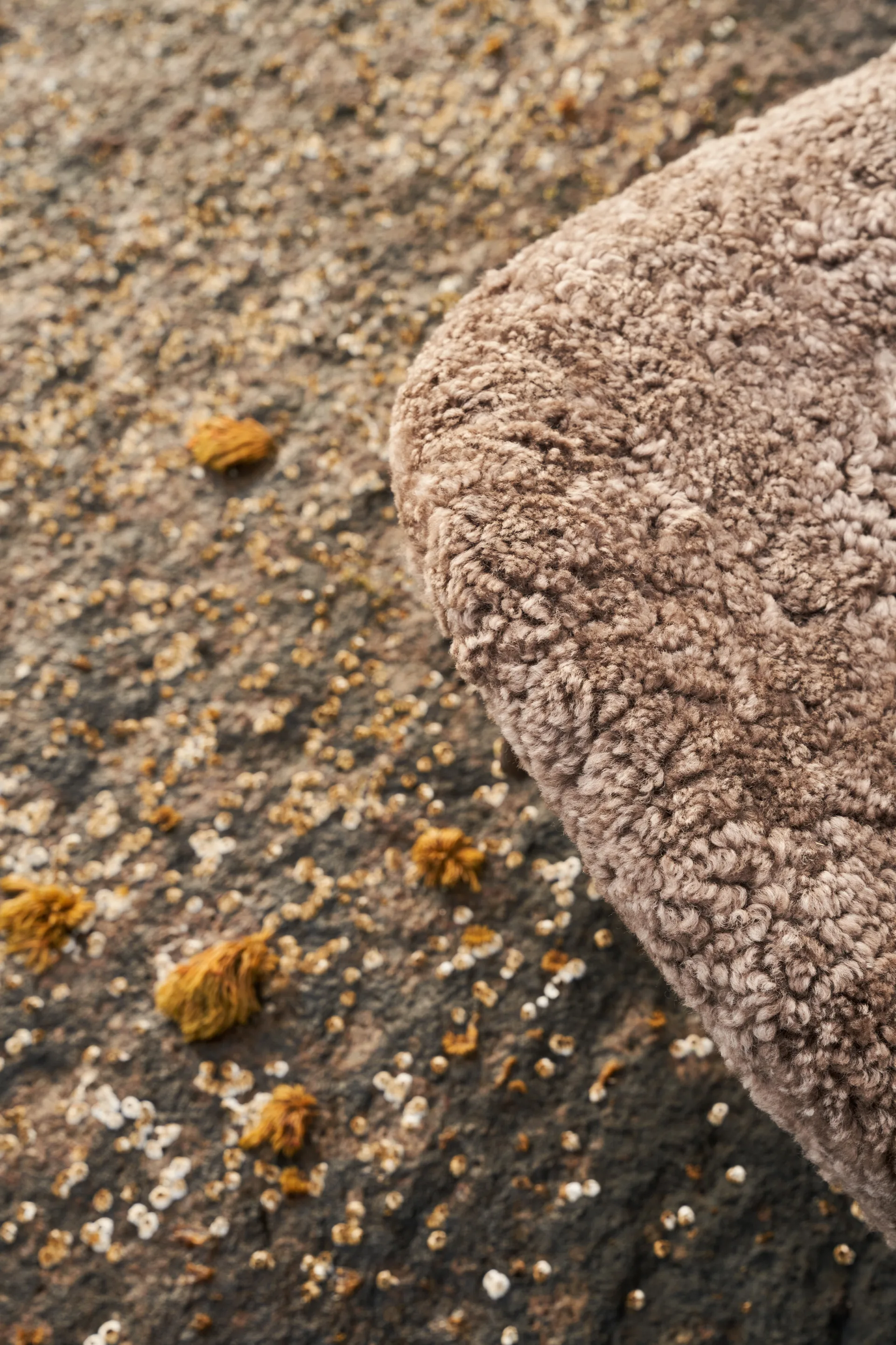 Vipp469 Lodge loungefåtölj low back, Curly 09 off white-dark oak Vipp