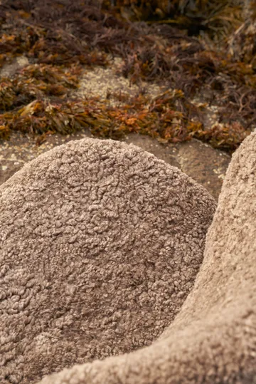 Vipp469 Lodge loungefåtölj low back - Curly 09 off white-dark oak - Vipp