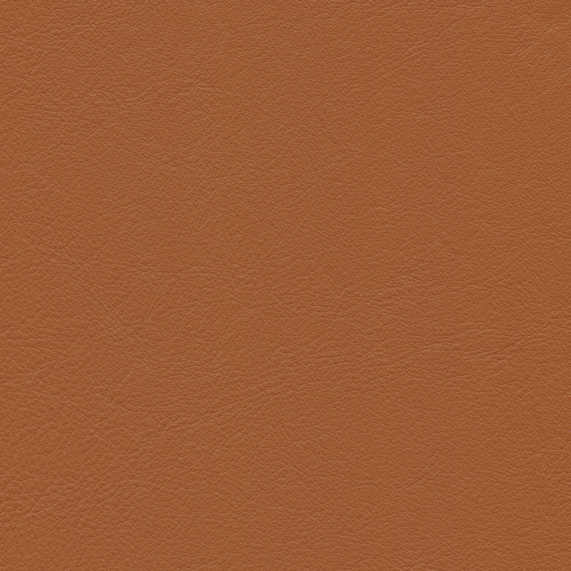 Cone Chair stol, Leather premium F cognac-rostfritt stål Vitra