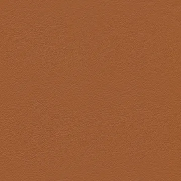 Cone Chair stol - Leather premium F cognac-rostfritt stål - Vitra