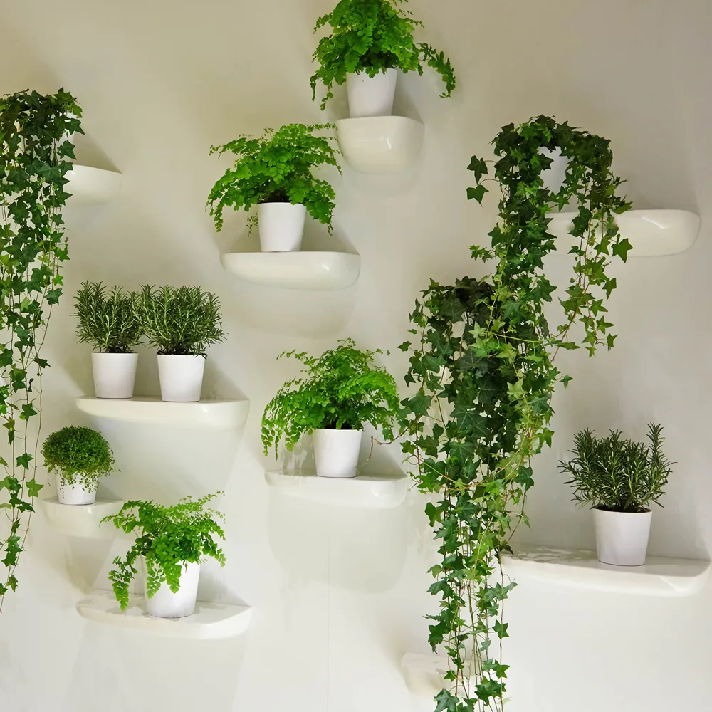 Corniches Small vägghylla, Orange Vitra