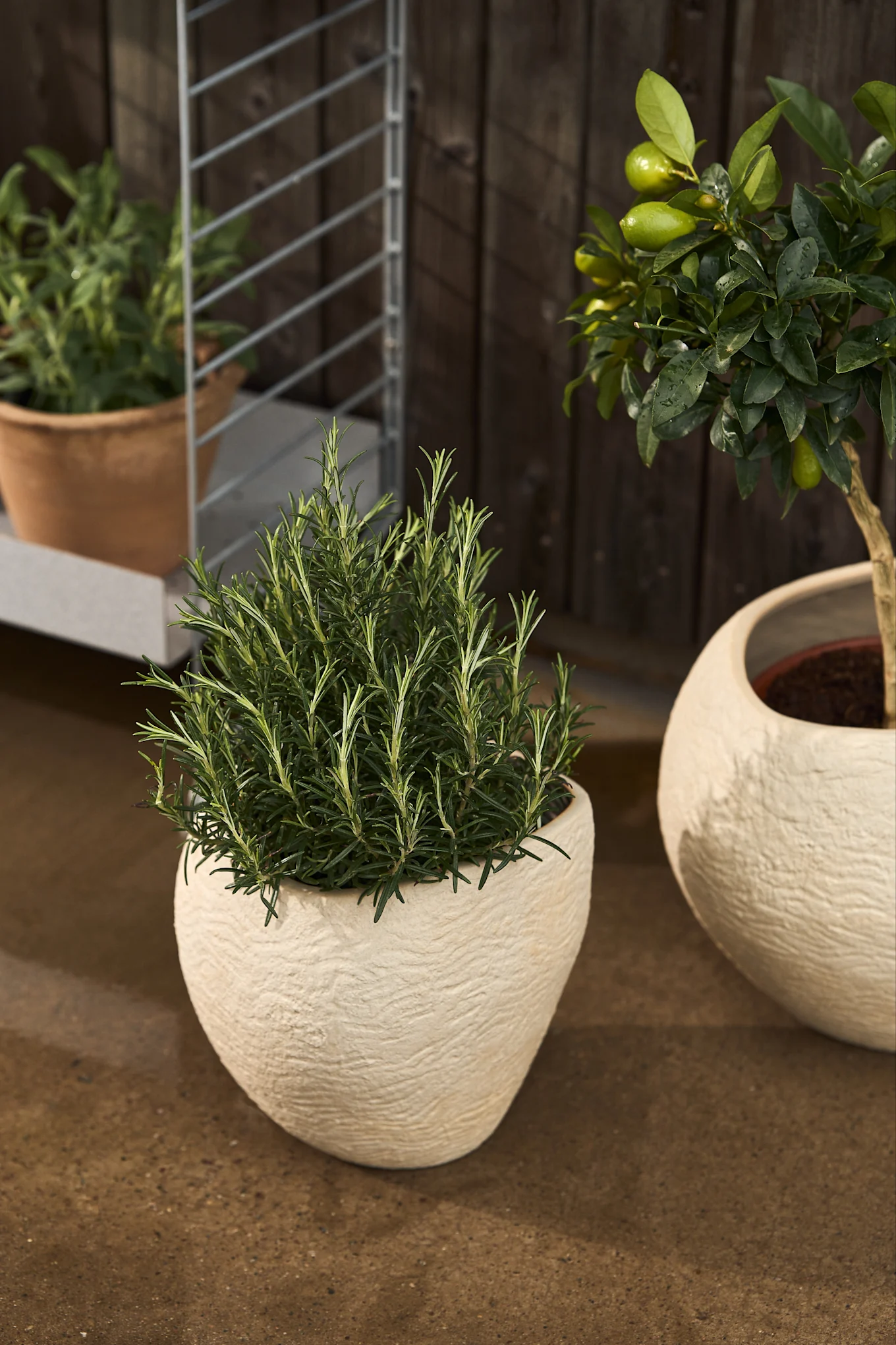 Plantas kruka i färgen ivory från Menu.