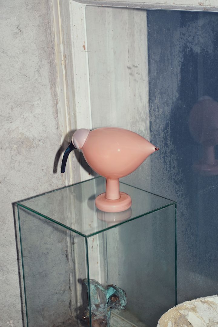 Tid för ny och djärv designkostym, Iittala lanserar en ny grafisk profil och uttryck, här en Birds by Toika, Ibis i laxrosa ståendes på glaskub.