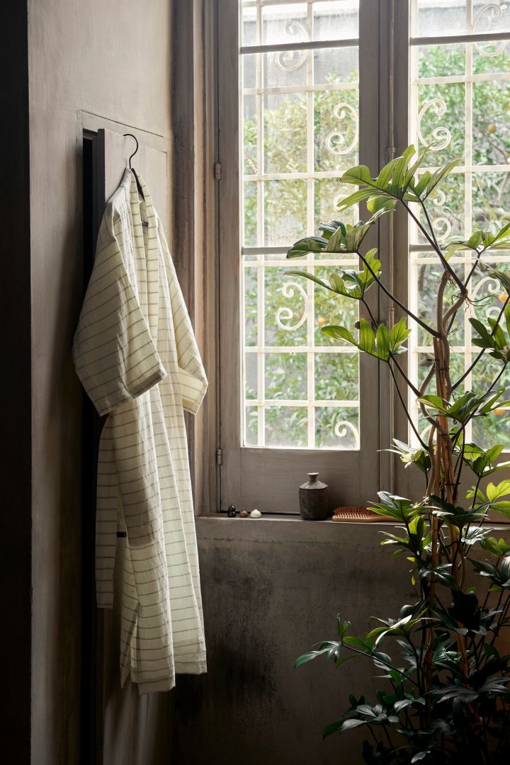 Att tillföra gröna växter till badrummet kommer ge en direkt känsla av lyxigt badrum och en känsla av både liv och fräschör, här en bild som visar stor grön växt i badrum med stort fönster.