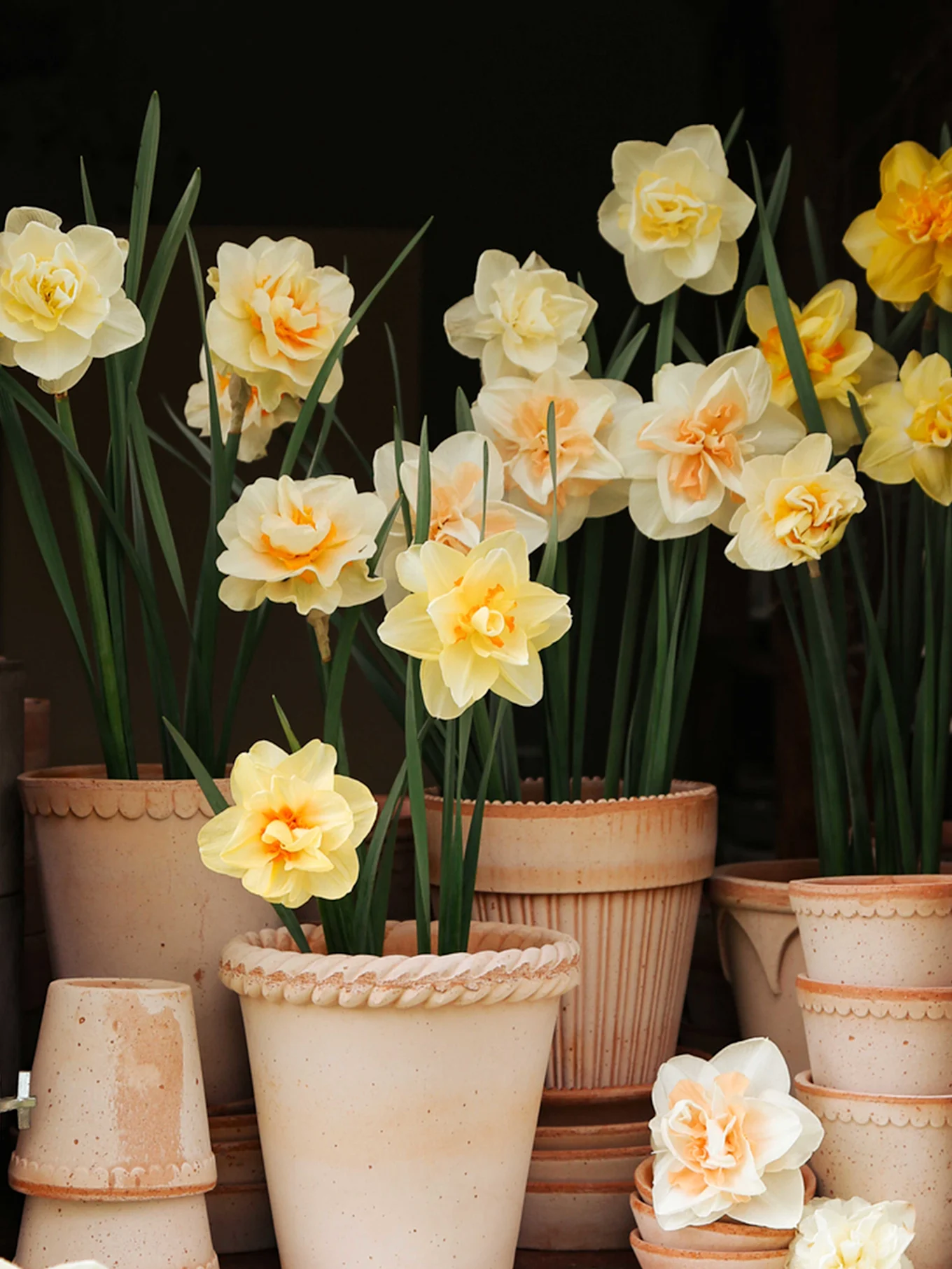 Ljusgrön U-formad vas med vitgröna spikiga blommor och gula smörblommor på en metallbänk vid ett fönster.