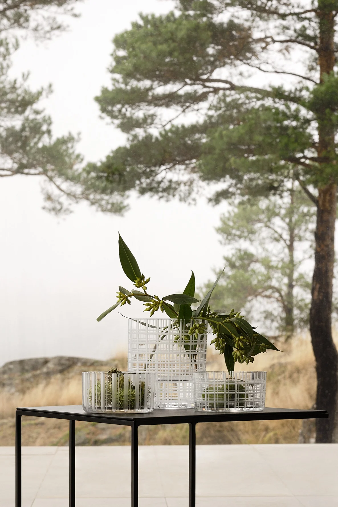 Cut In Number-serien av Ingegerd Råman för Orrefors, skålar och vas placerade på bord framför stort fönster med utsikt av tallar.