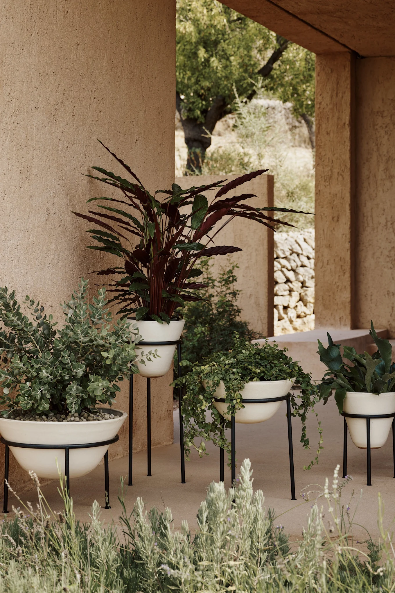 Dazia planters utomhuskrukor från Menu i grupp.